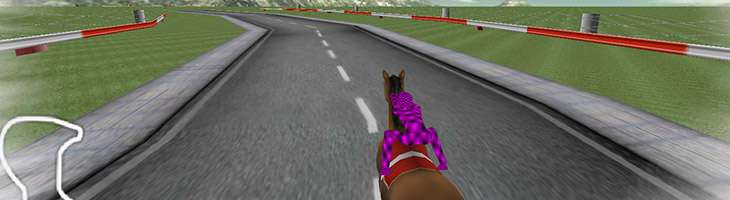 Обзор игры «Гонки на лошадях» - игры на двоих